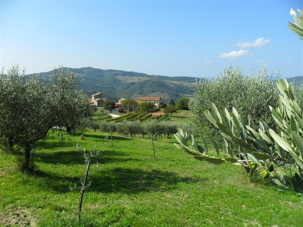 Valfabbrica La Cinci Allegra מראה חיצוני תמונה